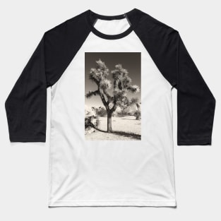 Joshua Tree bw Baseball T-Shirt